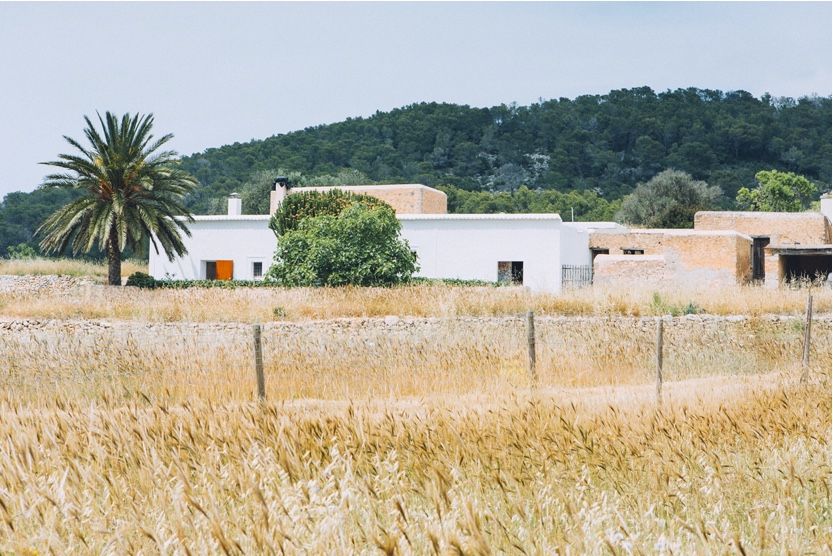 things-to-do-in-ibiza-countryside