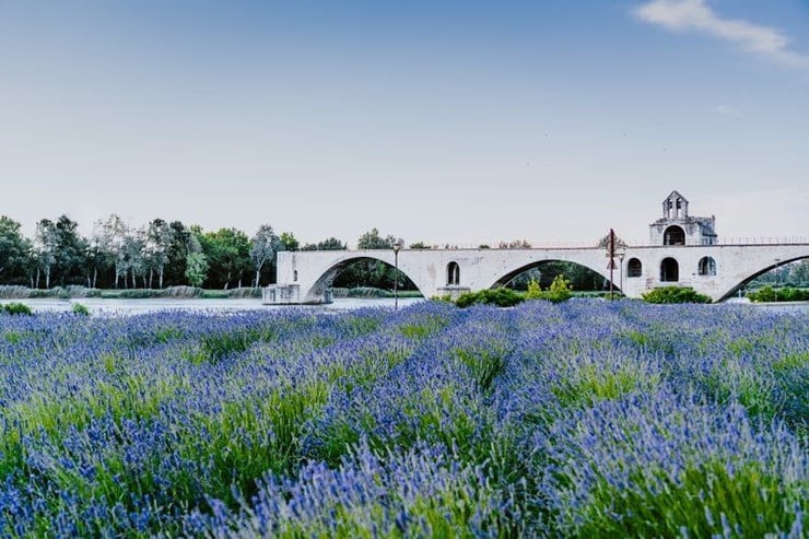 things-to-do-in-provence-in-june-avignon-min