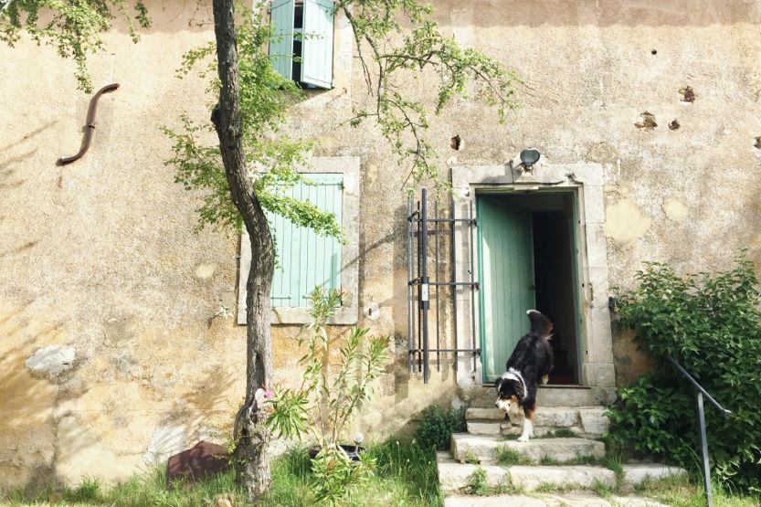 what-to-do-in-provence-in-april-house