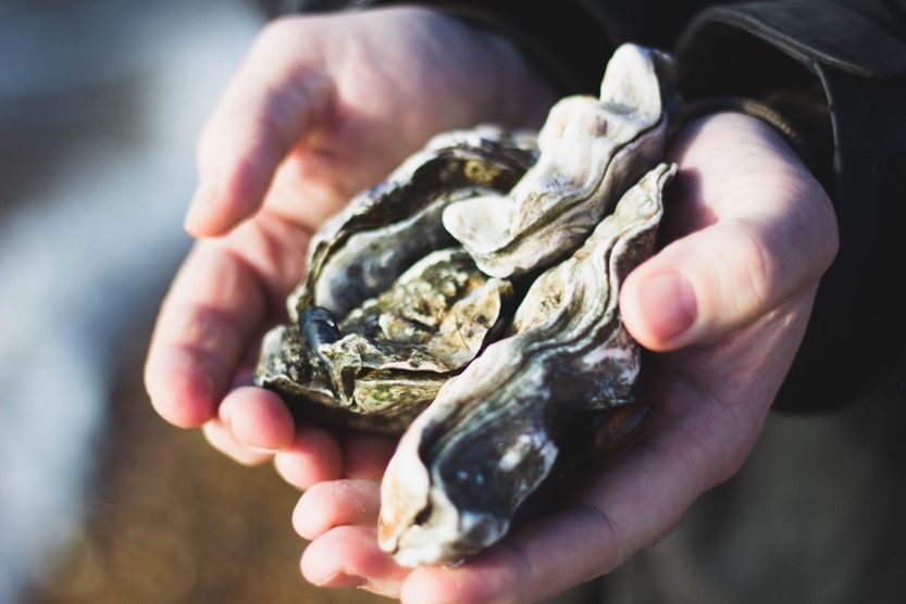 winter-town-arcachon-oysters