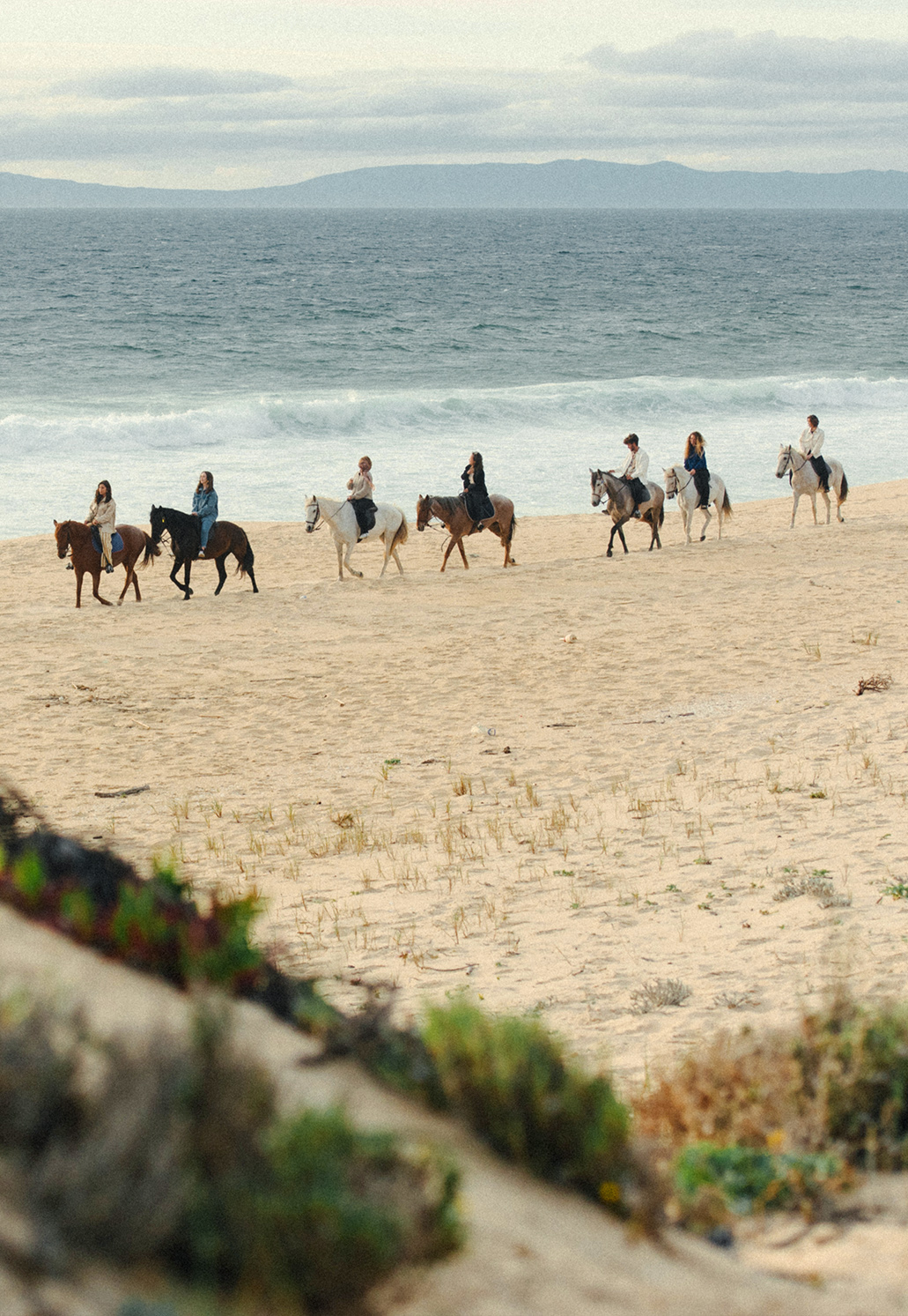 Discover the dunes of Comporta on horseback