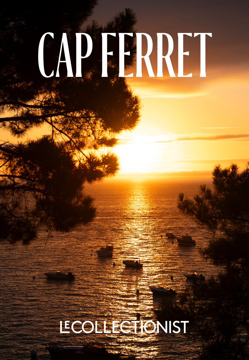 CAP FERRET DESTINATION GUIDE