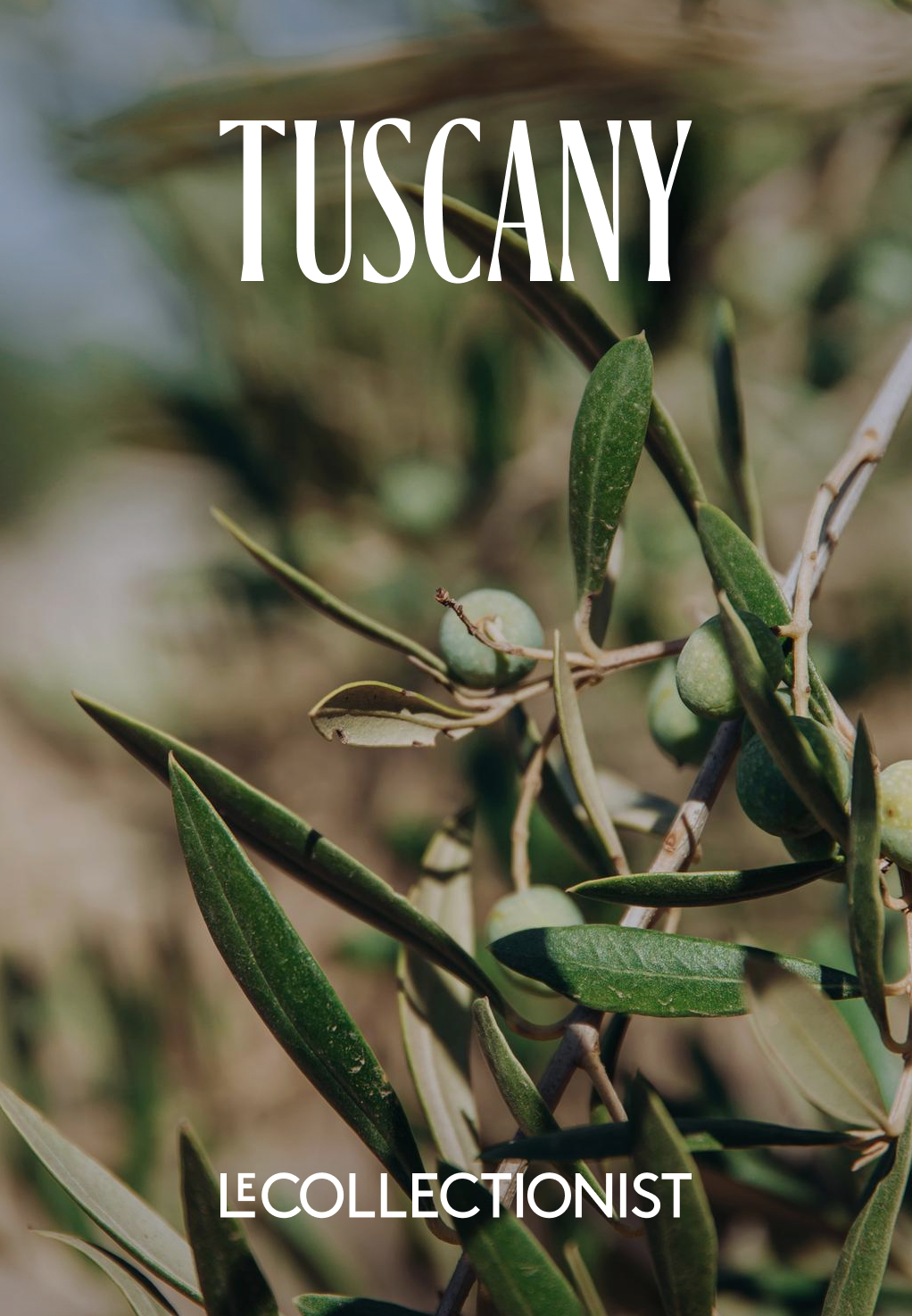 TUSCANY DESTINATION GUIDE