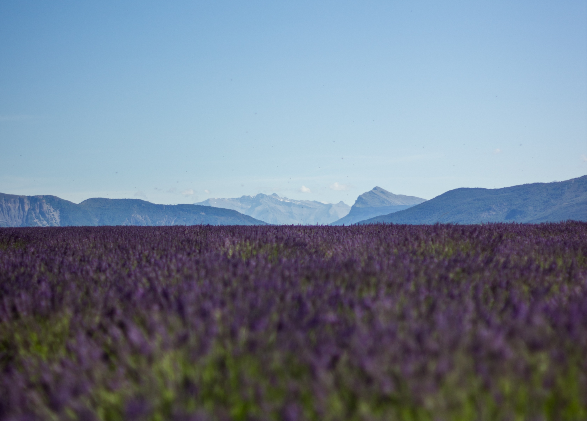 Que faire en Provence : les plus beaux villages du Luberon