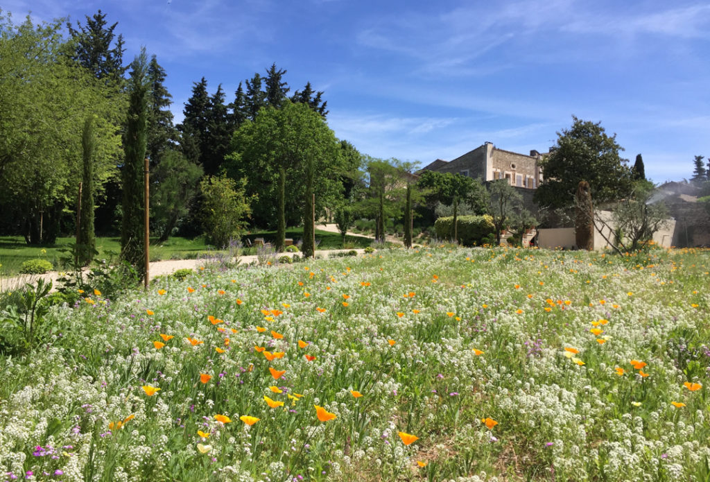 Luxury villa rental Provence fields blooms flowers Le Hameau de Gordes 