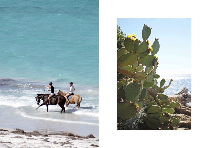 travel-spring-among-family-villa-to-rent-Corsica-horseback-le-collectionist