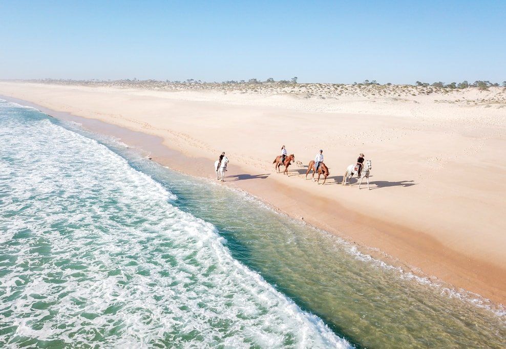 Une balade à cheval à travers les dunes de Comporta