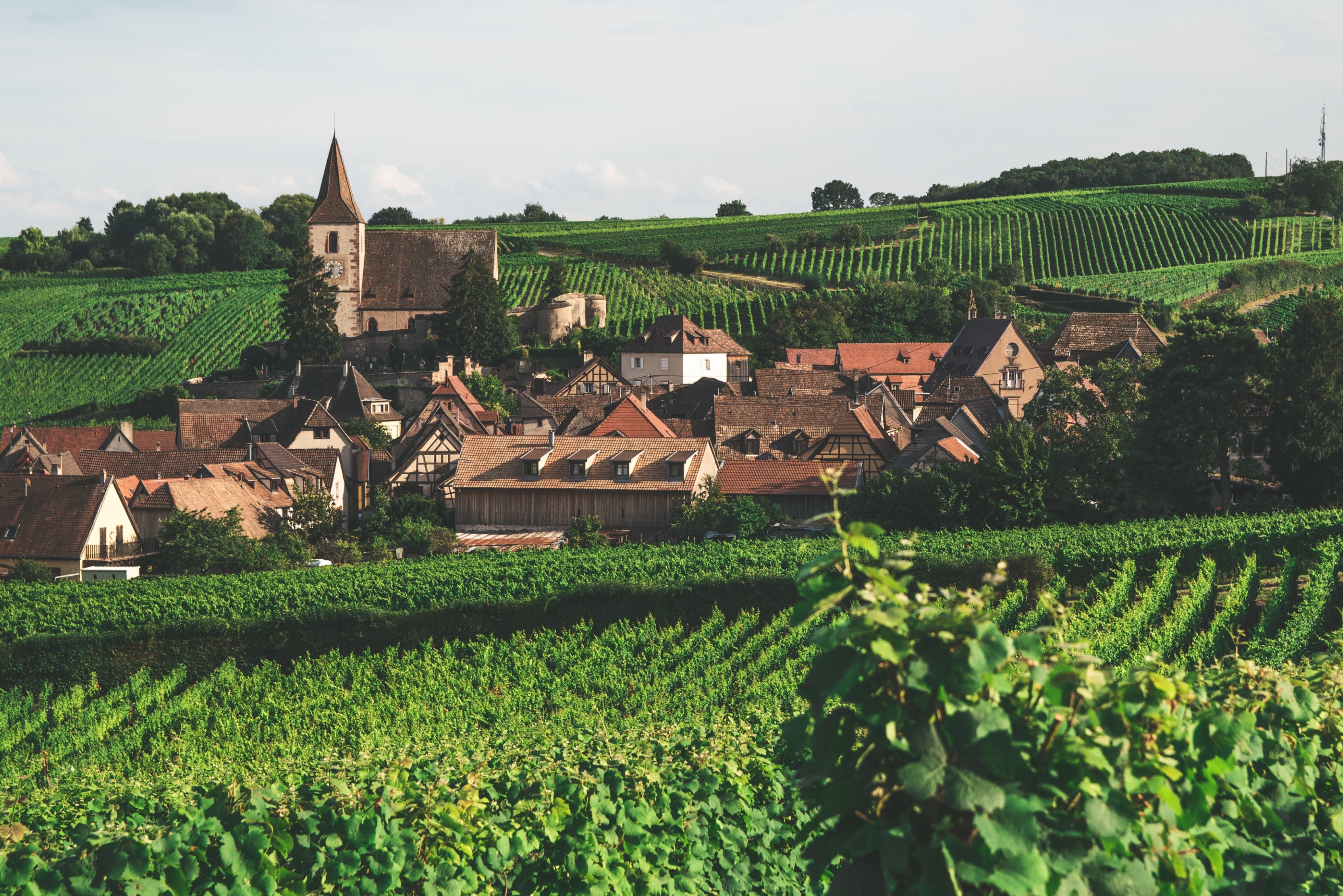 Explore the Best Luxury Vineyard Holidays in Europe