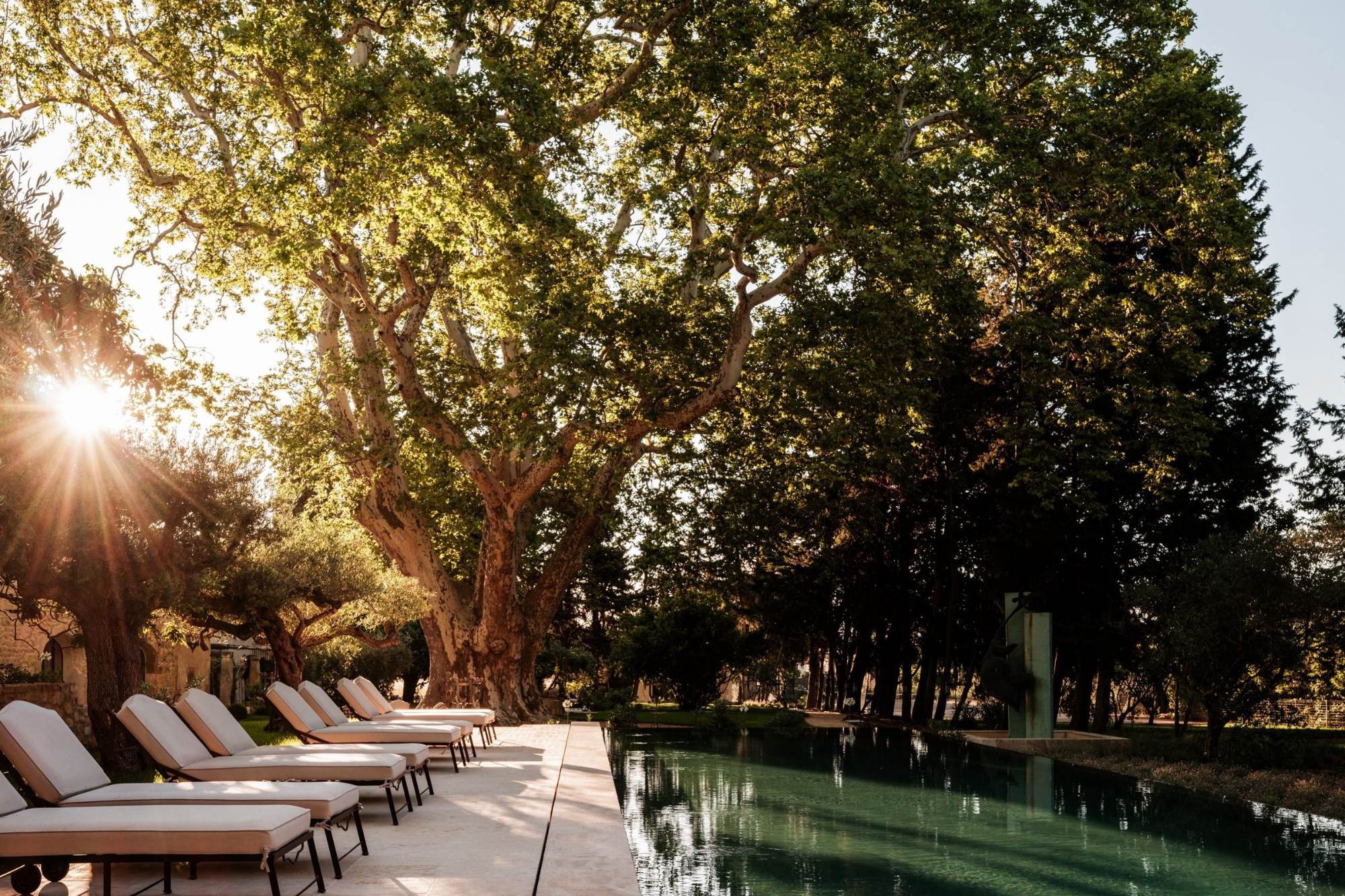 Sun loungers beside the pool beneath the plane trees at Mas Serenya in the Alpilles
