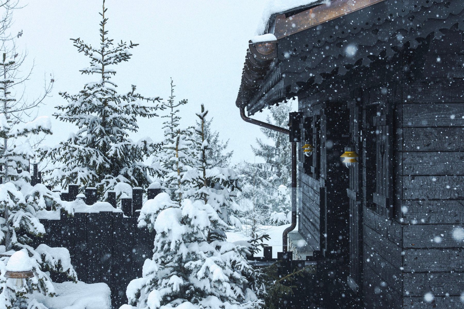 Un chalet de bois sombre et des sapins sous la neige à Courchevel