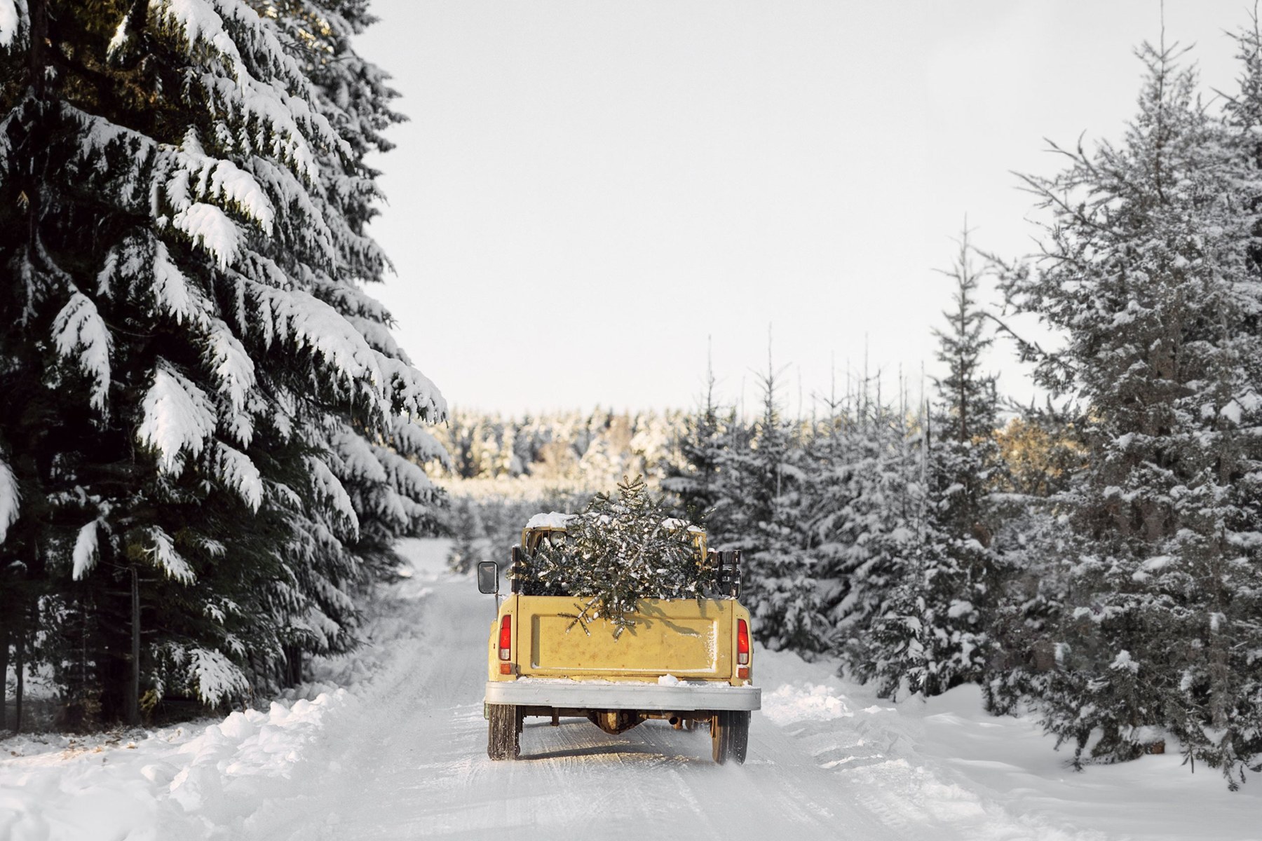 Une camionnette jaune sur une route enneigée bordée de sapins, à Megève