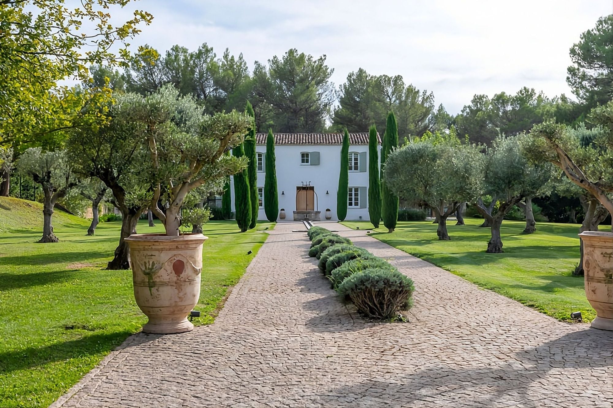The olive-lined path leading to Bastide Garence near Aix-en-Provence