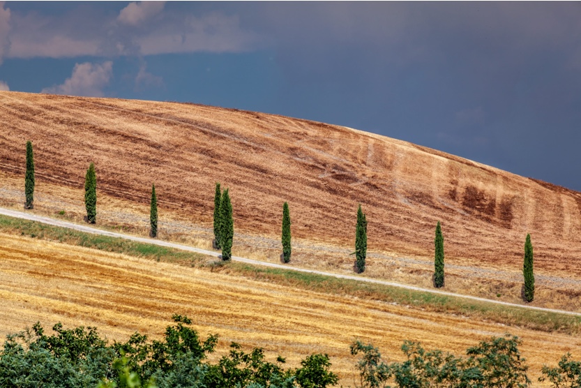Où aller en Toscane, Italie : les meilleurs vignobles
