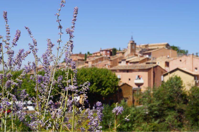 The best things to do in Provence in September