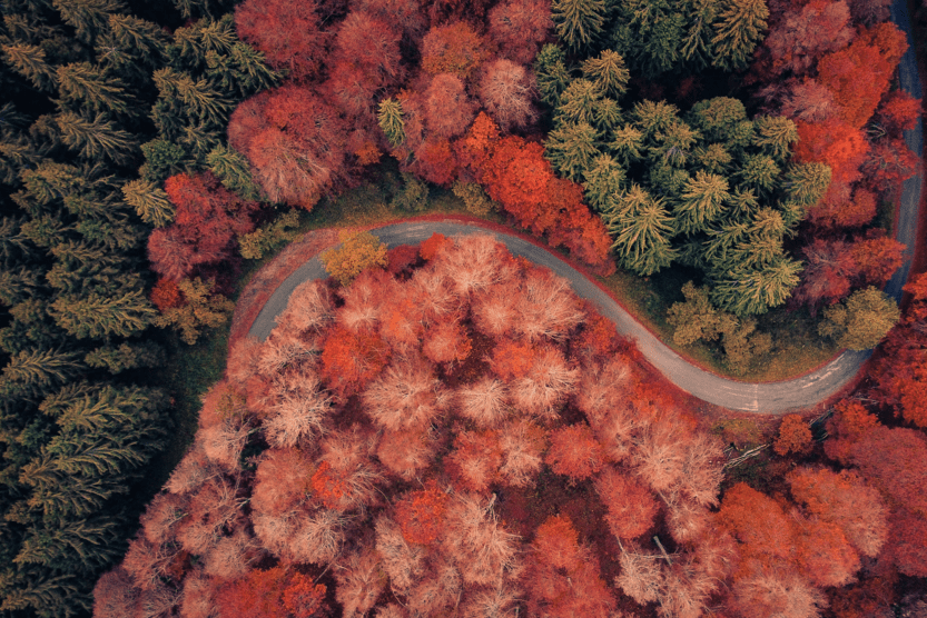 Our Favourite Places to Visit in Italy in October